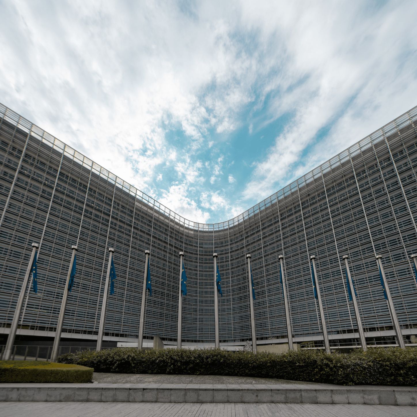 -how-the-eu-works-ohana-public-affairs -how-the-eu-works-ohana-public-affairs
