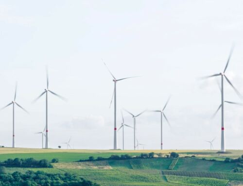 EU Climate Policy: A Complete Analysis and Overview