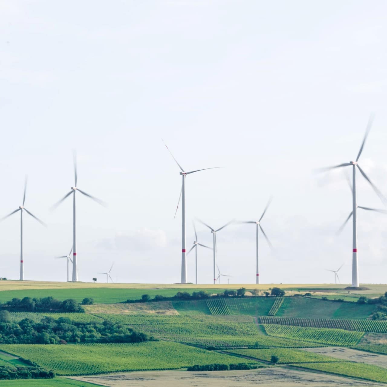 EU-climate-policy-ohana-public-affairs EU-climate-policy-ohana-public-affairs
