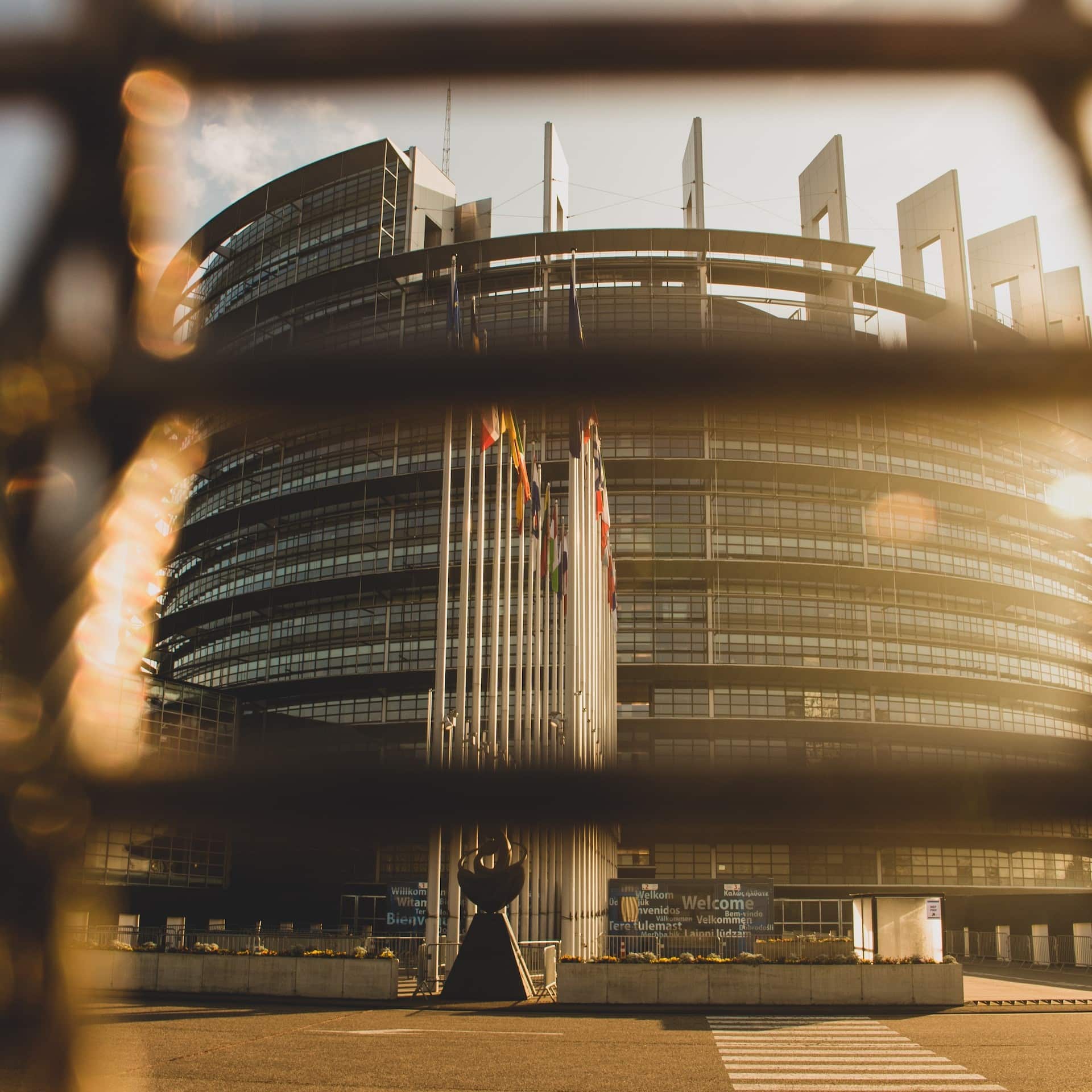 eu-textile-strategy-due-diligence-votes-ohana-public-affairs eu-textile-strategy-due-diligence-votes-ohana-public-affairs